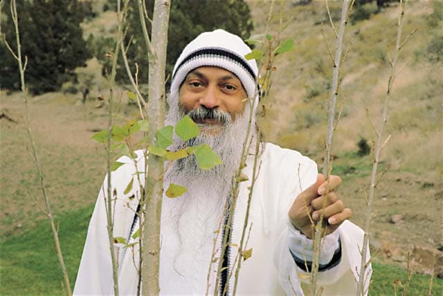 Rajneesh 